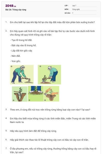 Bài 26: Trồng cây rừng