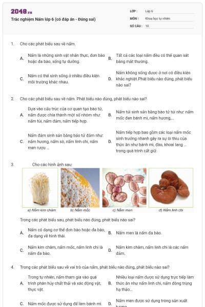 Trắc nghiệm Nấm lớp 6 (có đáp án - Đúng sai)
