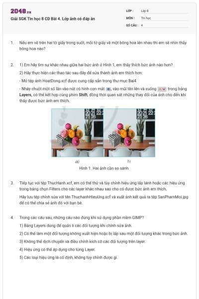 Giải SGK Tin học 8 CD Bài 4. Lớp ảnh có đáp án