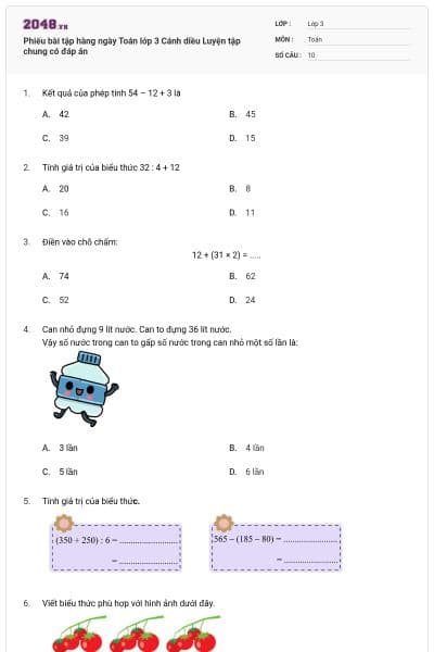 Phiếu bài tập hàng ngày Toán lớp 3 Cánh diều Luyện tập chung có đáp án