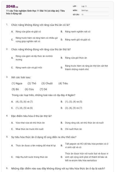 11 câu  Trắc nghiệm Sinh Học 11 Bài 16 (có đáp án): Tiêu hóa ở động vật