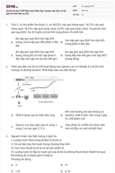 30 Đề thi thử THPTQG môn Sinh Học chuẩn cấu trúc có lời giải chi tiết (Đề số 24)
