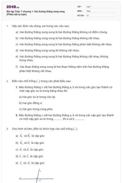 Bài tập Toán 7 chương 1: Hai đường thẳng song song (Phiếu bài tự luận)