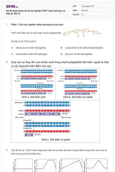 Đề thi tham khảo ôn thi tốt nghiệp THPT môn Sinh học có đáp án (Đề 4)
