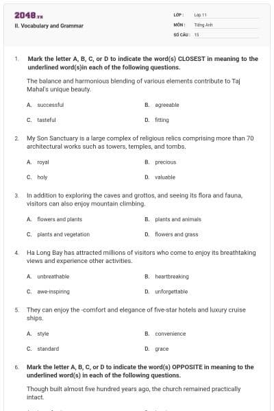 II. Vocabulary and Grammar