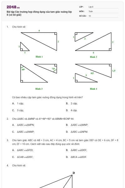 Bài tập Các trường hợp đồng dạng của tam giác vuông lớp 8 (có lời giải)