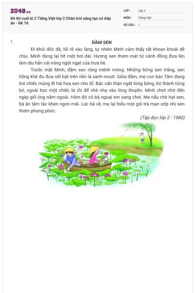 Đề thi cuối kì 2 Tiếng Việt lớp 2 Chân trời sáng tạo có đáp án - Đề 16