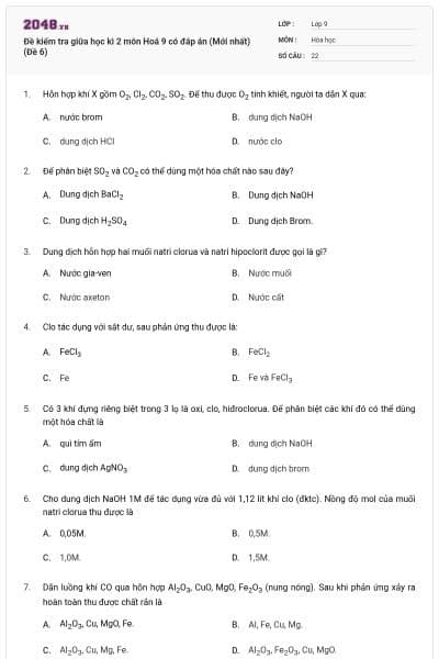 Đề kiểm tra giữa học kì 2 môn Hoá 9 có đáp án (Mới nhất) (Đề 6)