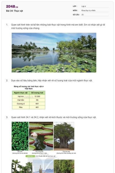 Bài 34: Thực vật