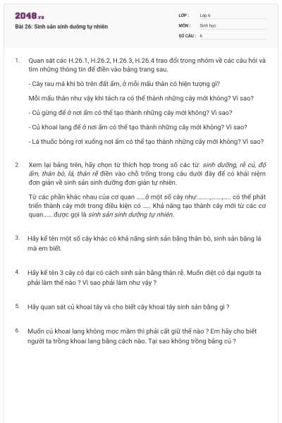 Bài 26: Sinh sản sinh dưỡng tự nhiên