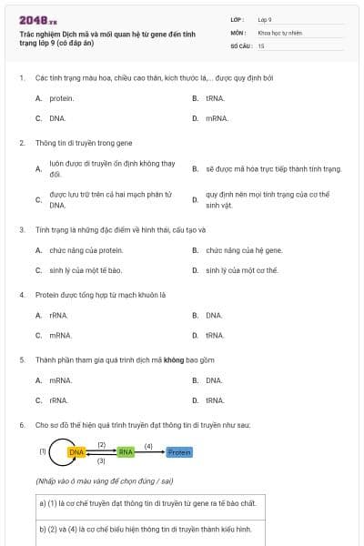 Trắc nghiệm Dịch mã và mối quan hệ từ gene đến tính trạng lớp 9 (có đáp án)