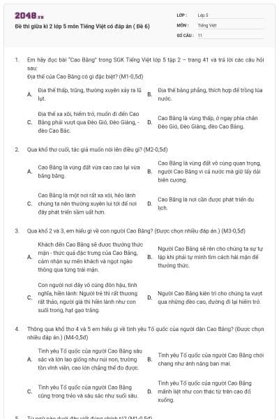 Đề thi giữa kì 2 lớp 5 môn Tiếng Việt có đáp án ( Đề 6)