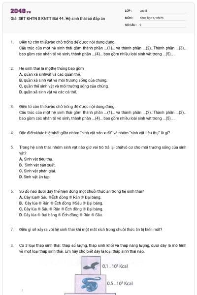 Giải SBT KHTN 8 KNTT Bài 44. Hệ sinh thái có đáp án