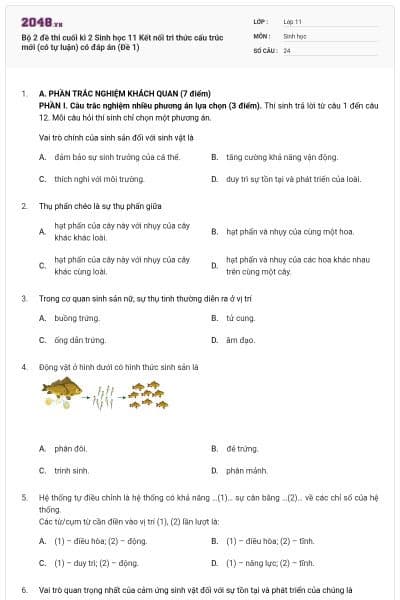 Bộ 2 đề thi cuối kì 2 Sinh học 11 Kết nối tri thức cấu trúc mới (có tự luận) có đáp án (Đề 1)