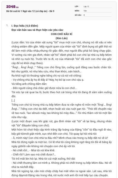 Đề thi cuối kì 1 Ngữ văn 12 (có đáp án) - Đề 9