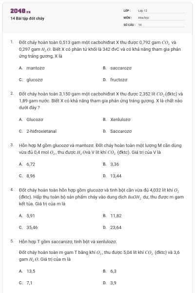 14 Bài tập đốt cháy
