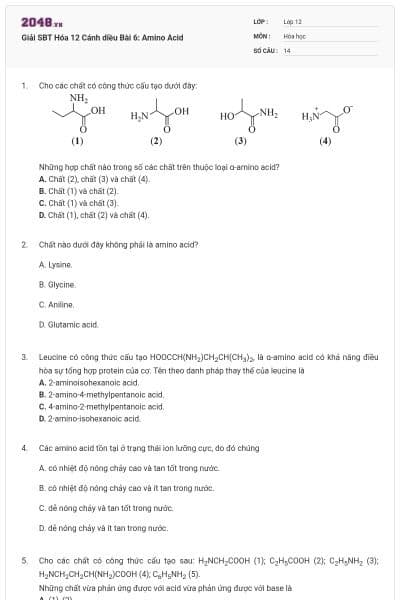 Giải SBT Hóa 12 Cánh diều Bài 6: Amino Acid