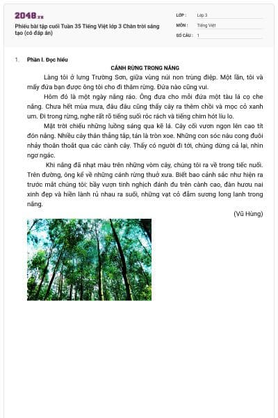 Phiếu bài tập cuối Tuần 35 Tiếng Việt lớp 3 Chân trời sáng tạo (có đáp án)
