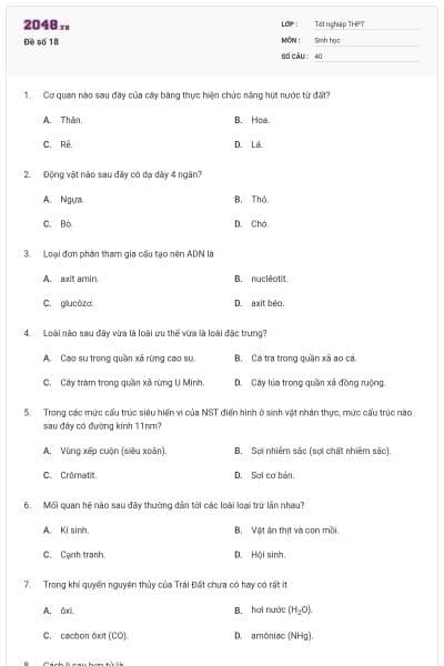 Đề số 18