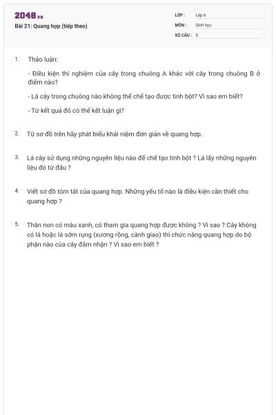 Bài 21: Quang hợp (tiếp theo)
