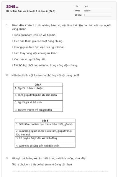 Đề thi Đạo Đức lớp 5 Học kì 1 có đáp án (Đề 3)
