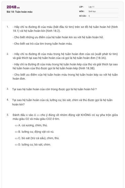 Bài 18: Tuần hoàn máu