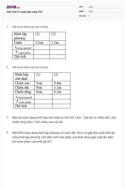 Giải Toán 5 Luyện tập trang 169