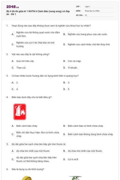 Bộ 4 đề thi giữa kì 1 KHTN 6 Cánh diều (song song) có đáp án - Đề 1