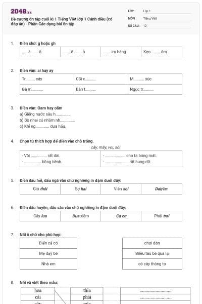 Đề cương ôn tập cuối kì 1 Tiếng Việt lớp 1 Cánh diều (có đáp án) - Phần Các dạng bài ôn tập