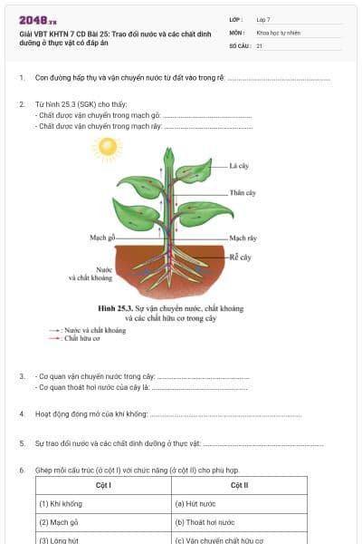 Giải VBT KHTN 7 CD Bài 25: Trao đổi nước và các chất dinh dưỡng ở thực vật có đáp án