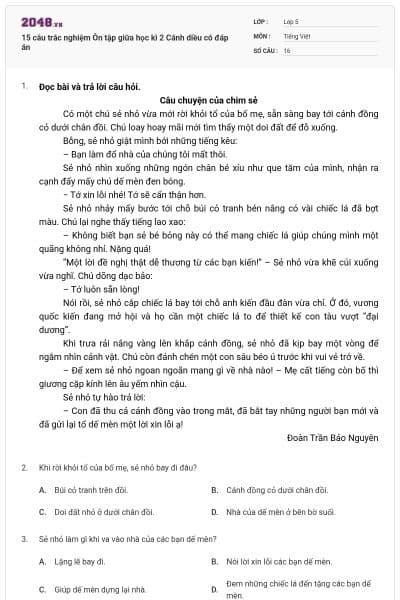 15 câu trắc nghiệm Ôn tập giữa học kì 2 Cánh diều có đáp án