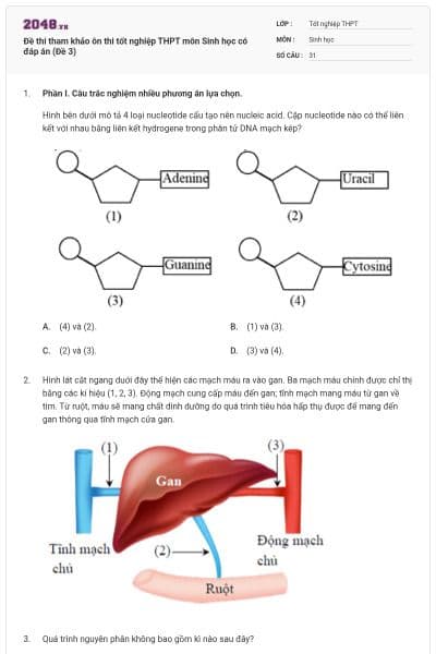 Đề thi tham khảo ôn thi tốt nghiệp THPT môn Sinh học có đáp án (Đề 3)