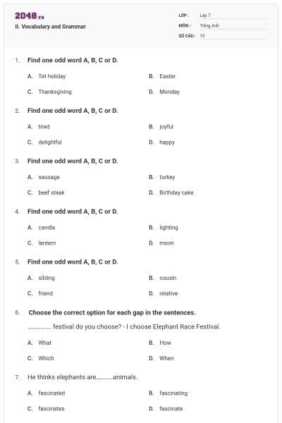 II. Vocabulary and Grammar