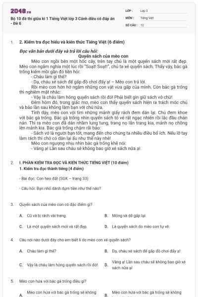 Bộ 10 đề thi giữa kì 1 Tiếng Việt lớp 3 Cánh diều có đáp án - Đề 6