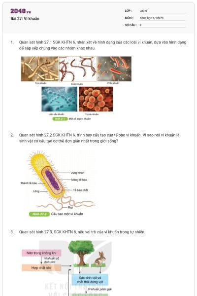 Bài 27: Vi khuẩn