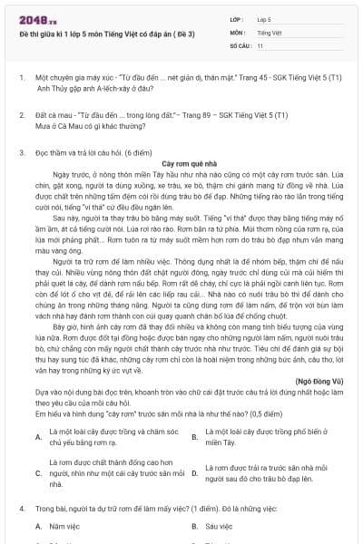 Đề thi giữa kì 1 lớp 5 môn Tiếng Việt có đáp án ( Đề 3)