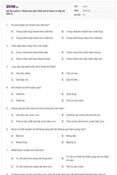 Đề thi cuối kì 1 Khoa học lớp 4 Kết nối tri thức có đáp án (Đề 2)