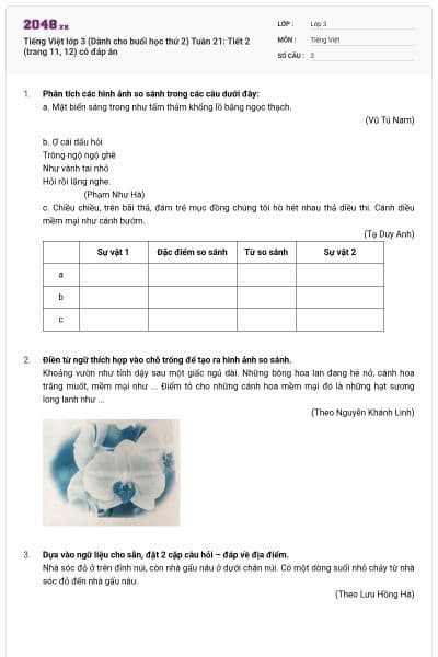 Tiếng Việt lớp 3 (Dành cho buổi học thứ 2) Tuần 21: Tiết 2 (trang 11, 12) có đáp án