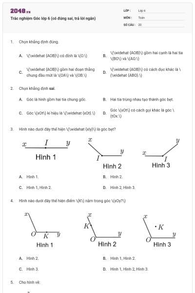 Trắc nghiệm Góc lớp 6 (có đúng sai, trả lời ngắn)