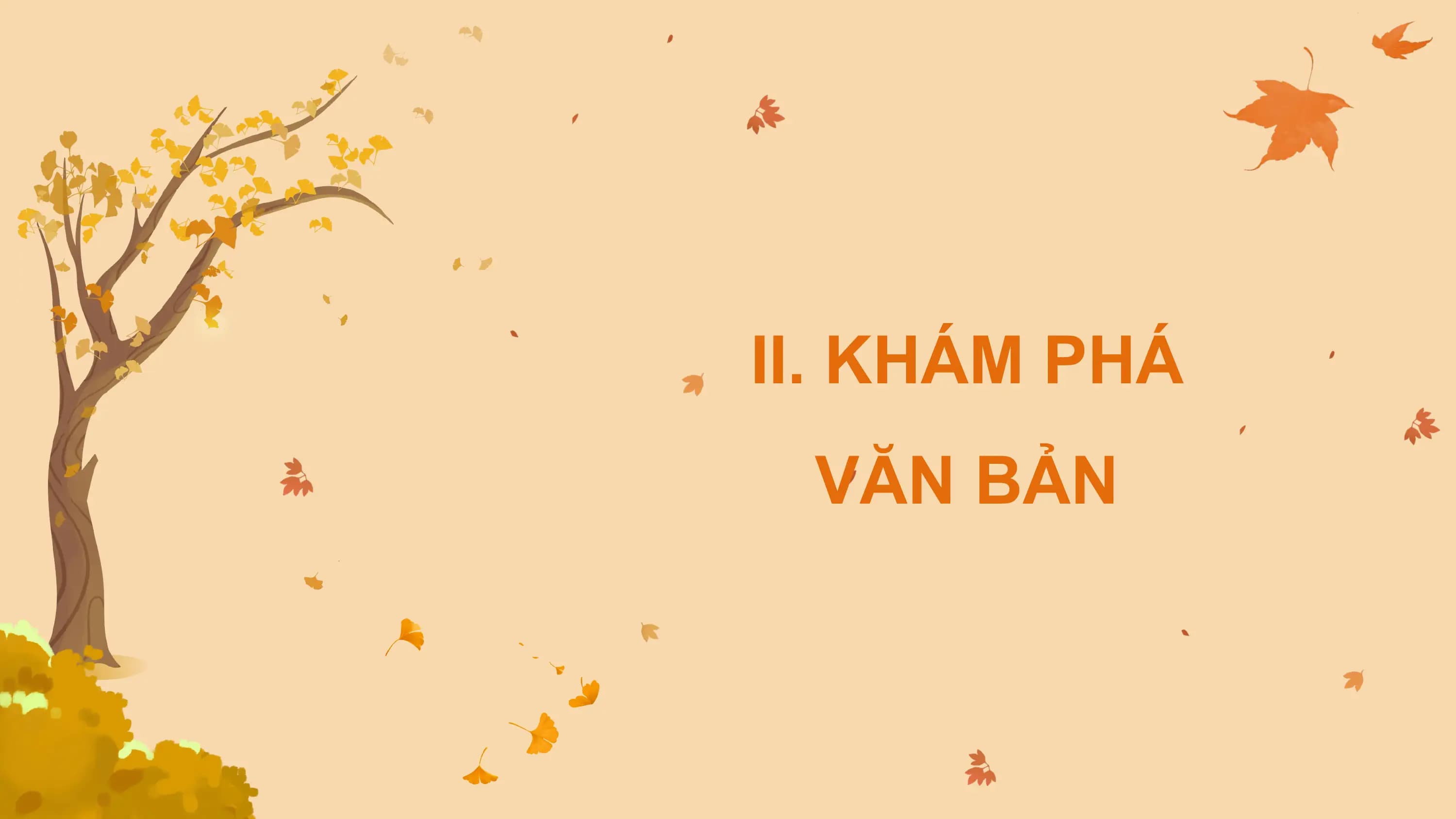 II. KHÁM PHÁ
 VĂN BẢN