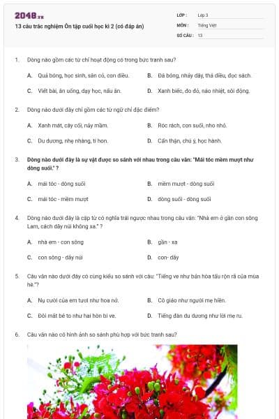 13 câu trắc nghiệm Ôn tập cuối học kì 2 (có đáp án)