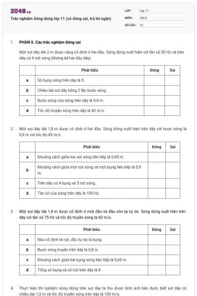 Trắc nghiệm Sóng dừng lớp 11 (có đúng sai, trả lời ngắn)