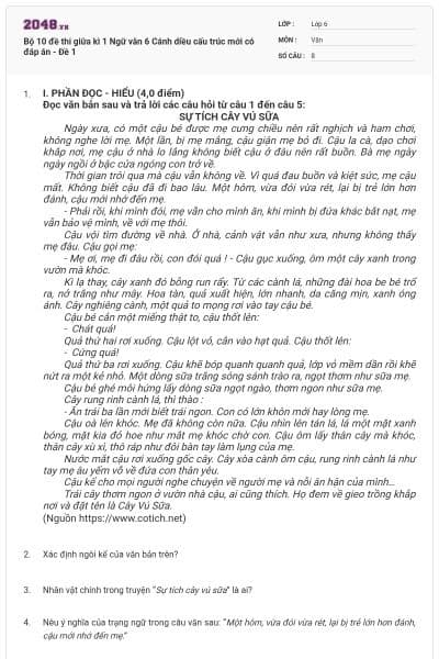 Bộ 10 đề thi giữa kì 1 Ngữ văn 6 Cánh diều cấu trúc mới có đáp án - Đề 1