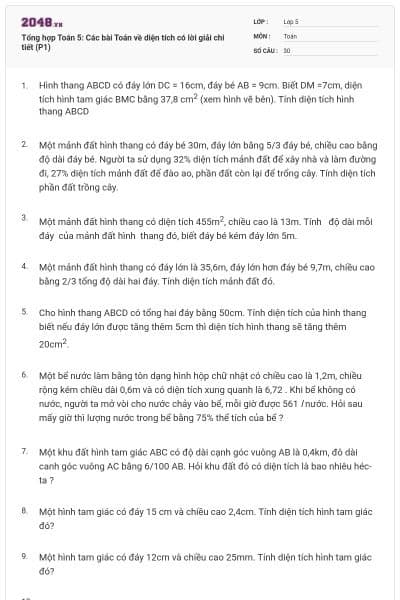 Tổng hợp Toán 5: Các bài Toán về diện tích có lời giải chi tiết (P1)