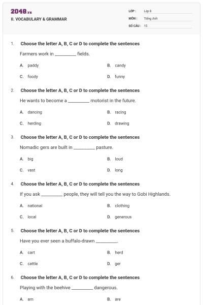 II. VOCABULARY & GRAMMAR