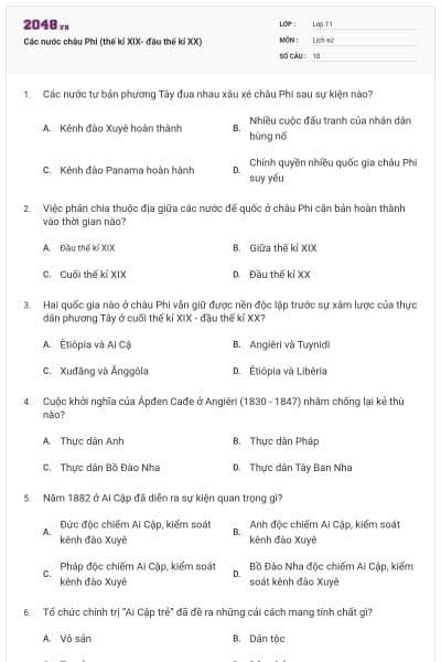 Các nước châu Phi (thế kỉ XIX- đầu thế kỉ XX)