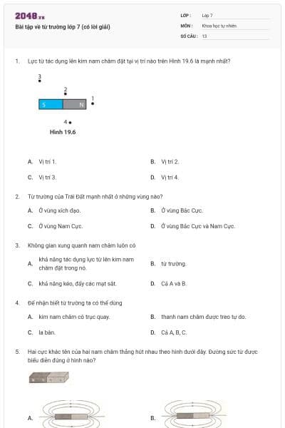 Bài tập về từ trường lớp 7 (có lời giải)