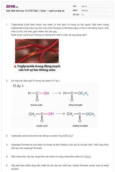 Giải SGK Hóa học 12 CTST Bài 1. Ester – Lipid có đáp án