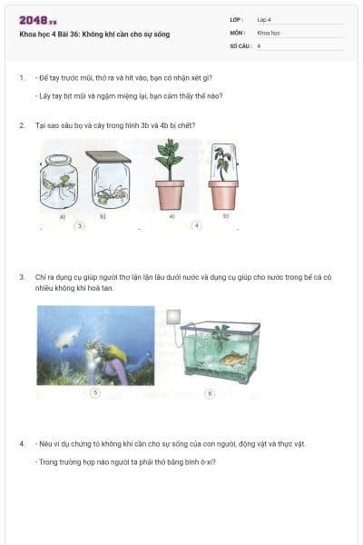 Khoa học 4 Bài 36: Không khí cần cho sự sống