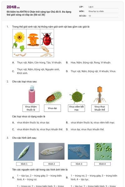 Đề kiểm tra KHTN 6 Chân trời sáng tạo Chủ đề 8. Đa dạng thế giới sống có đáp án (Đề số 36)